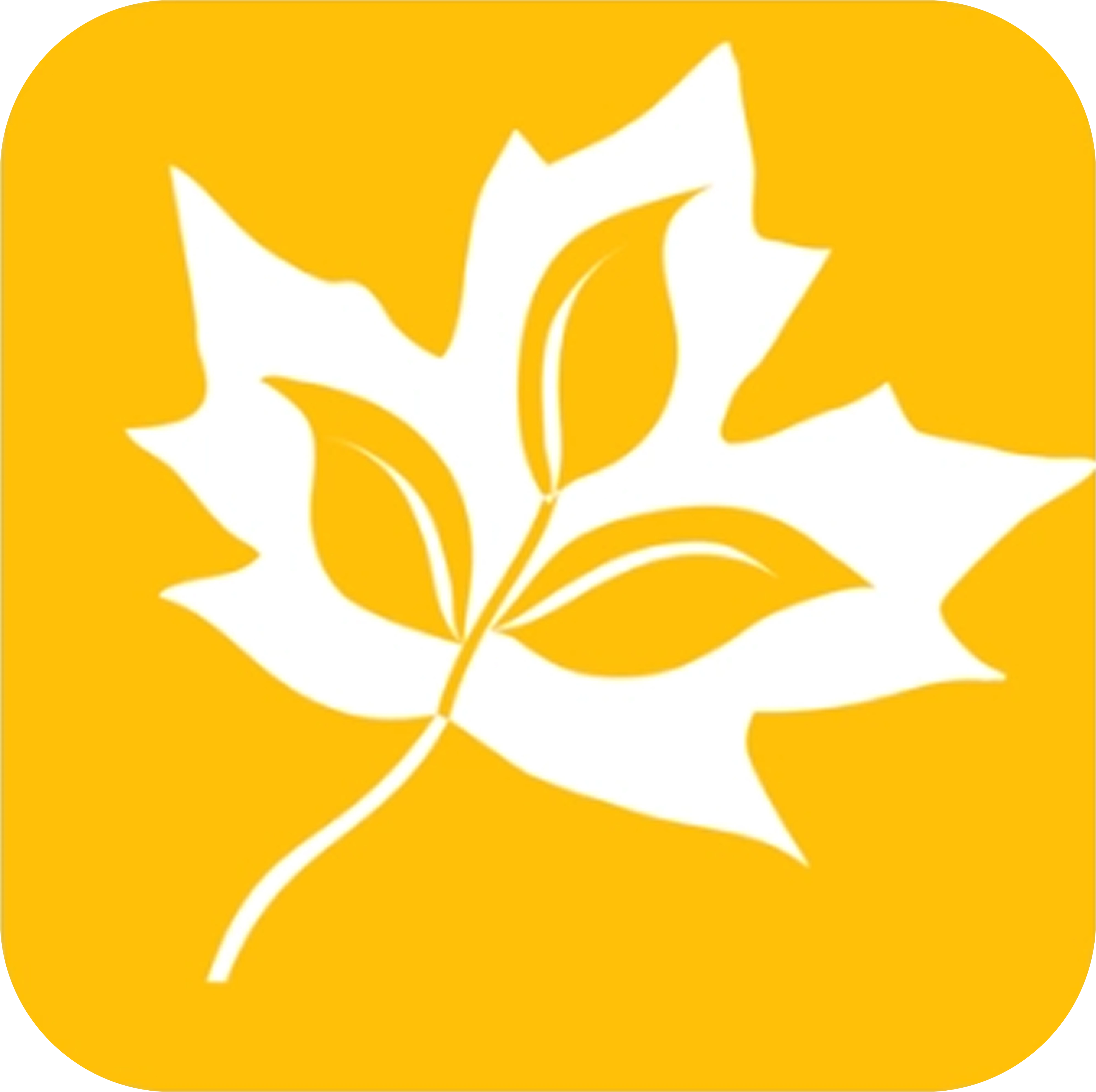 Existing newcomer information application