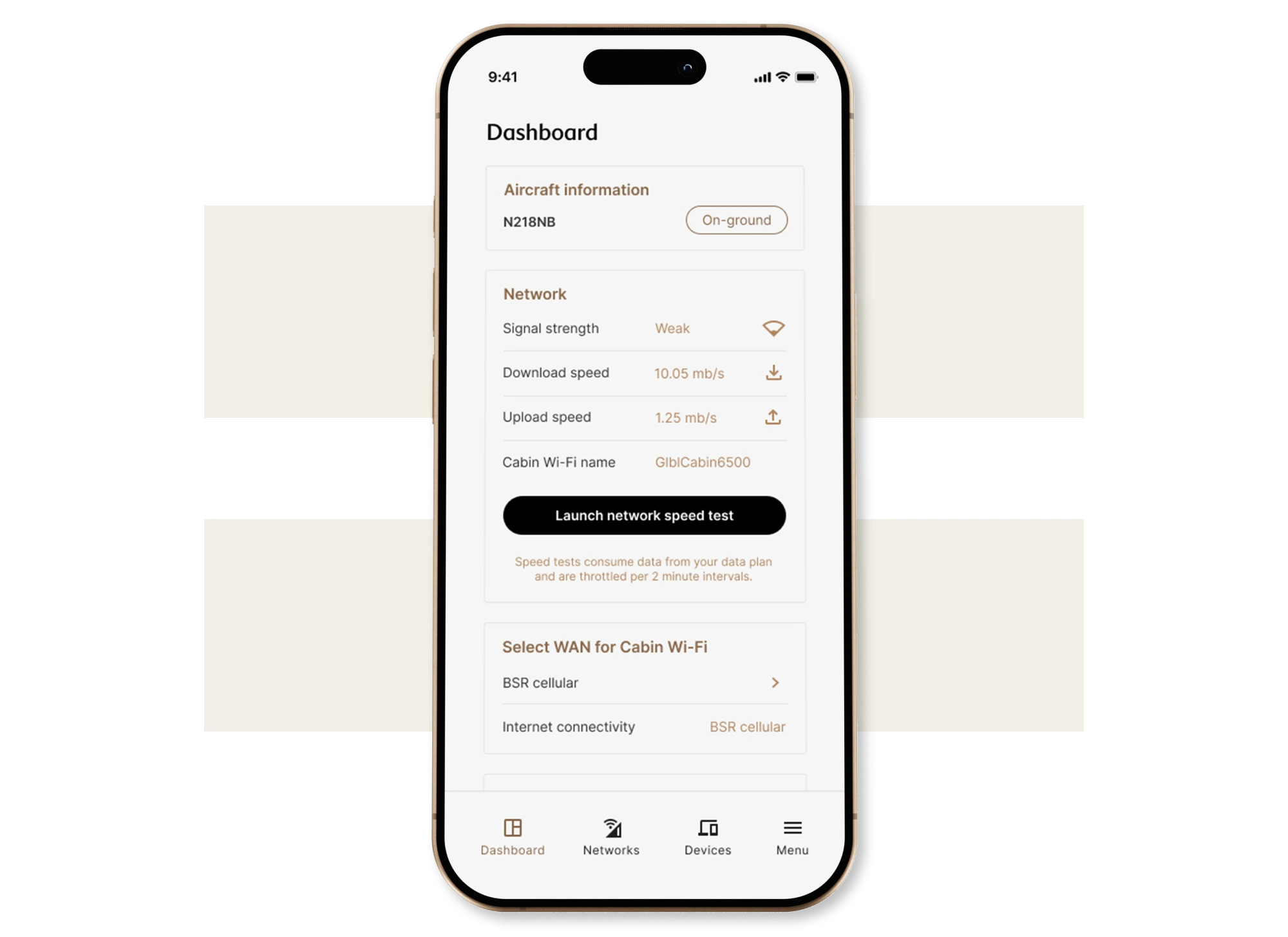Mobile interface for testing in-flight connectivity