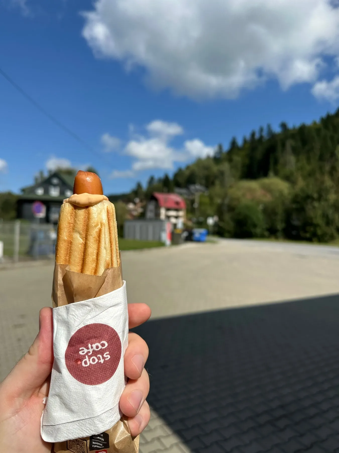A zapiekanka held up against a sunny mountain village