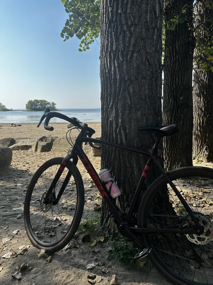 A loaded bicycle leaning against a tree beside the water