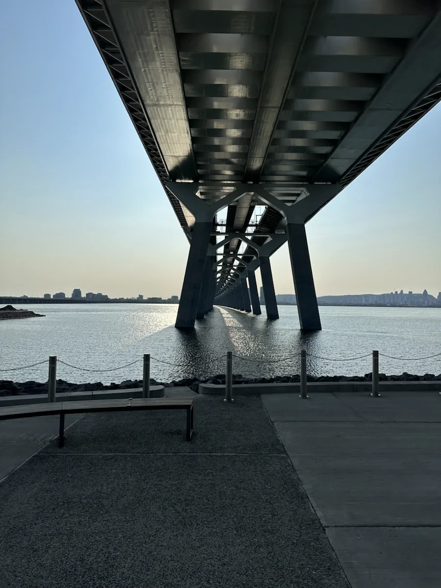 A view beneath a bridge beside the water